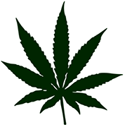 Pot leaf outline